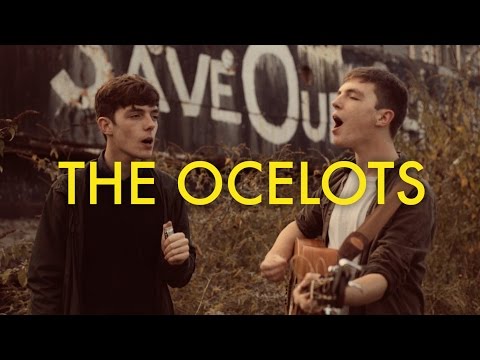 The Ocelots - Can&#039;t Even Say Your Name