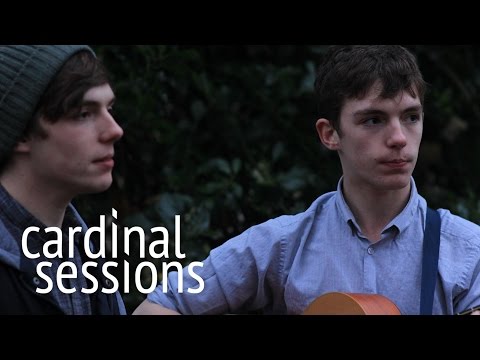 The Ocelots - Shoot Me Darling - CARDINAL SESSIONS